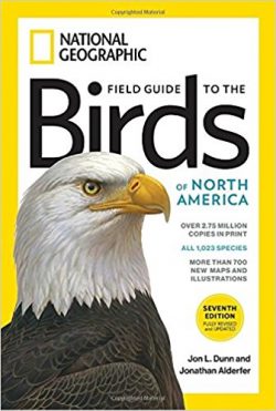 🦅 FRIDAY BIRD FAMILIES: Herons, Bitterns, Ibises, and Spoonbills