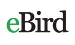 🐦 NATURE NOTES: Getting Started with Bird Study and eBird