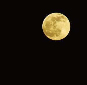 [Full Moon]