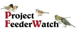 [Project FeederWatch]