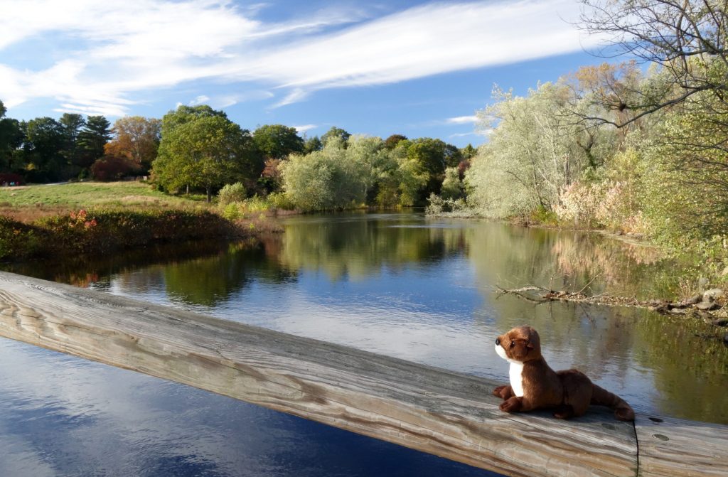 [Concord River]