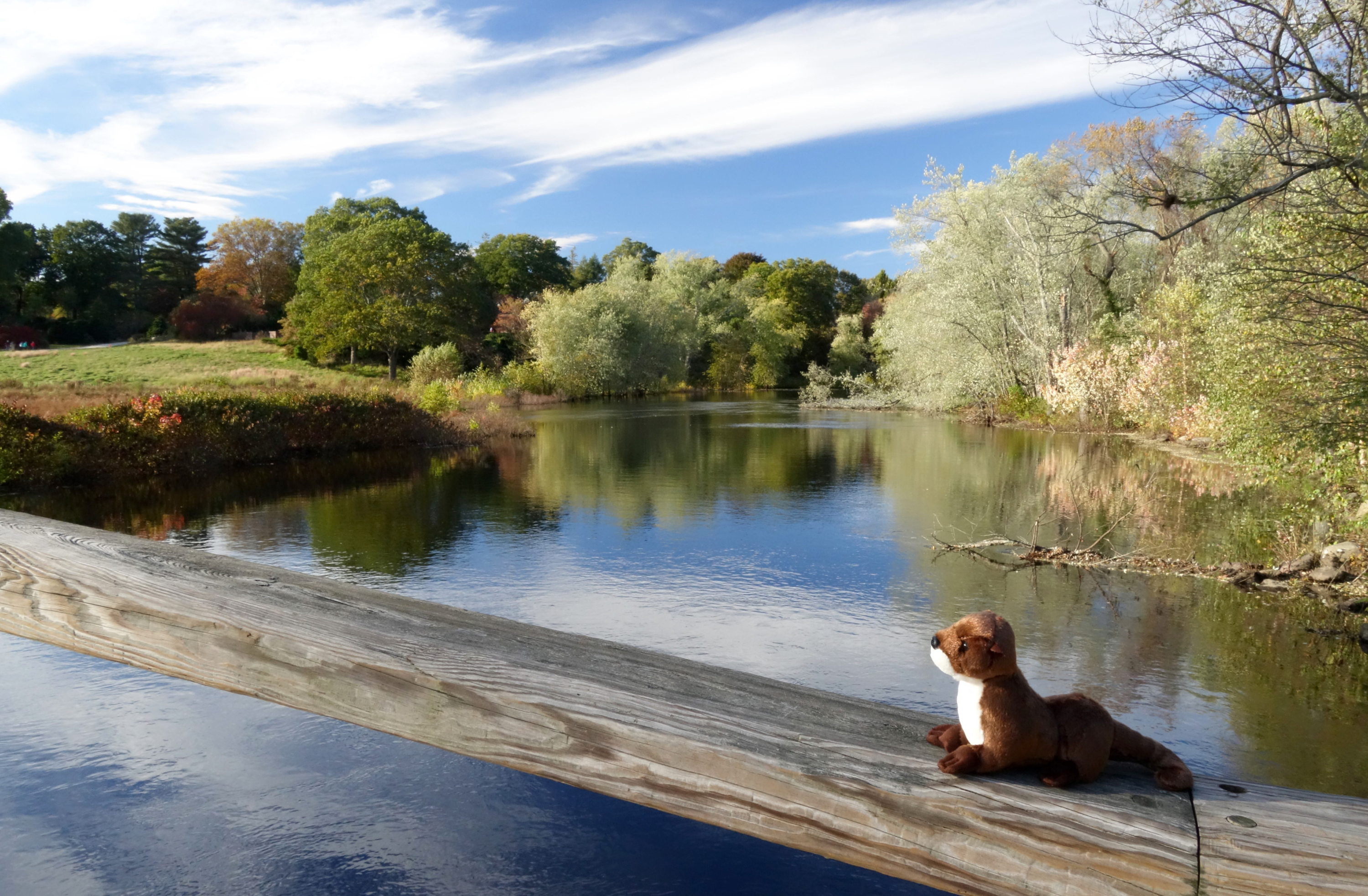 [Horace at the Concord River]