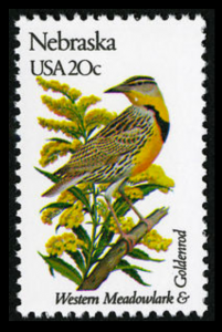[Nebraska State Bird & Flower]