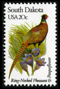 [South Dakota State Bird & Flower]