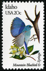 [Idaho State Bird & Flower]