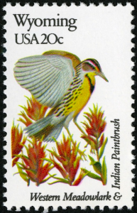 [Wyoming State Bird & Flower]