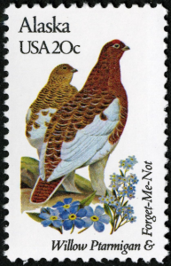 [Alaska State Bird & Flower]