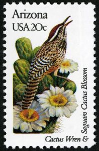 [Arizona State Bird & Flower]