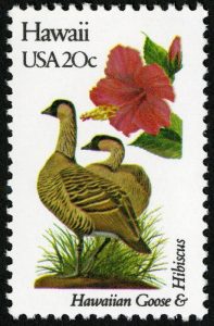 [Hawaii State Bird & Flower]