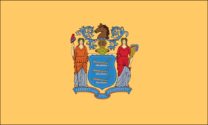 [New Jersey State Flag]