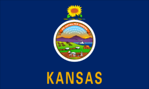 [Kansas State Flag]