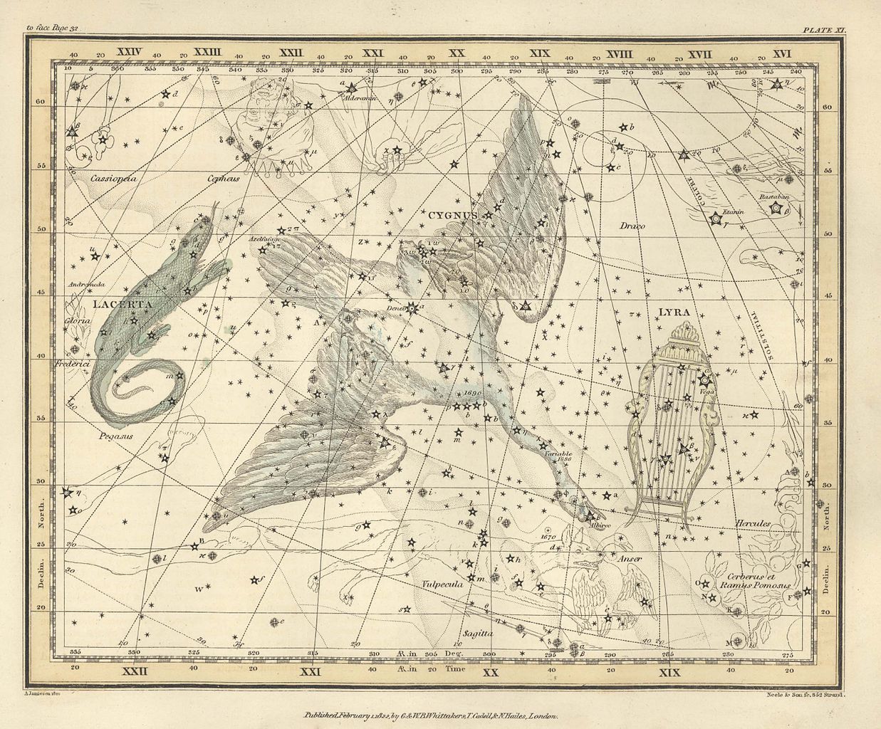 [Cygnus Constellation Chart (1822)]