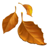 [Fall Leaves Icon]