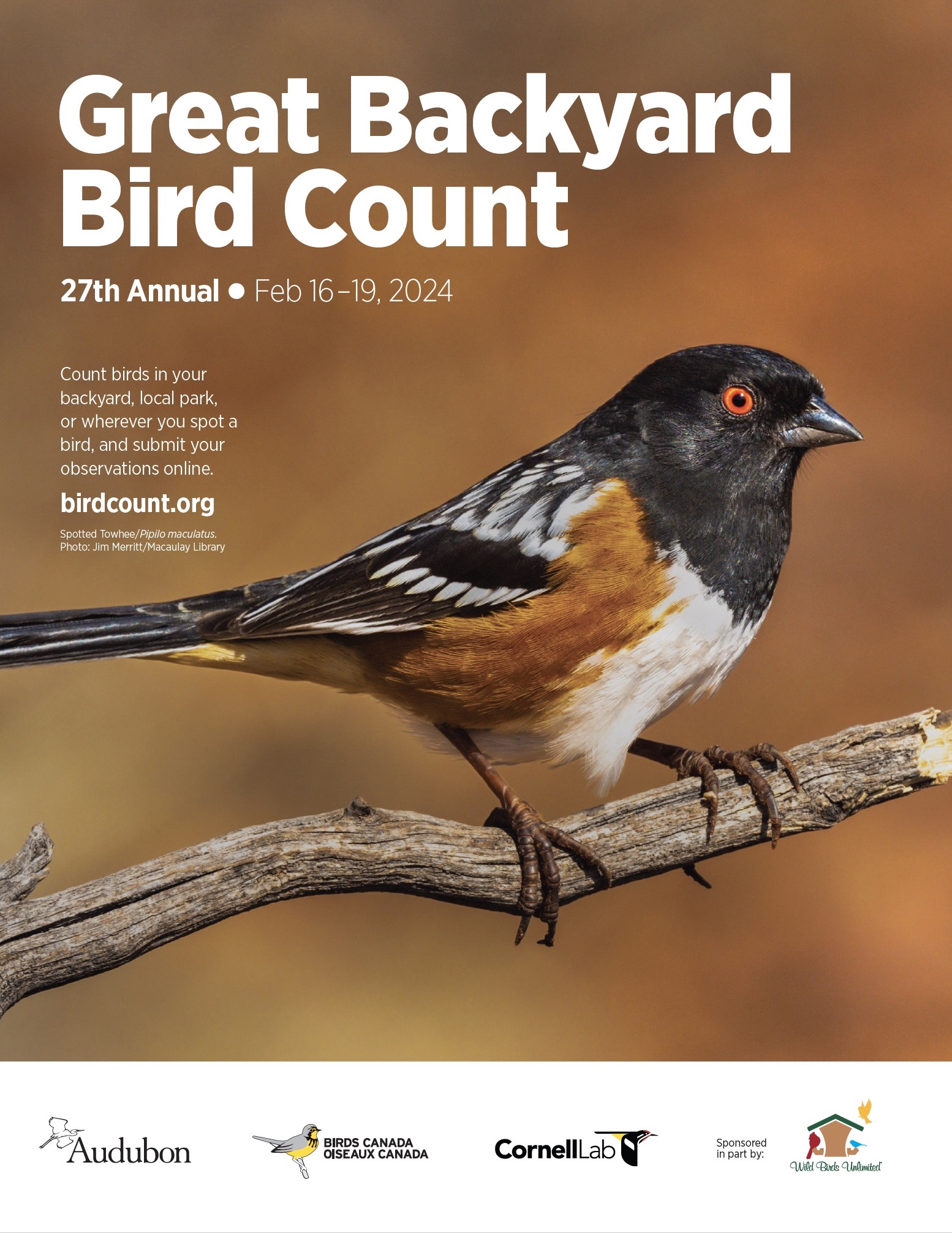 🐦 NATURE NOTES: Join the Great Backyard Bird Count!