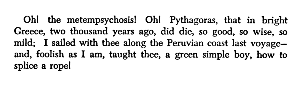 [Melville & Metempsychosis]